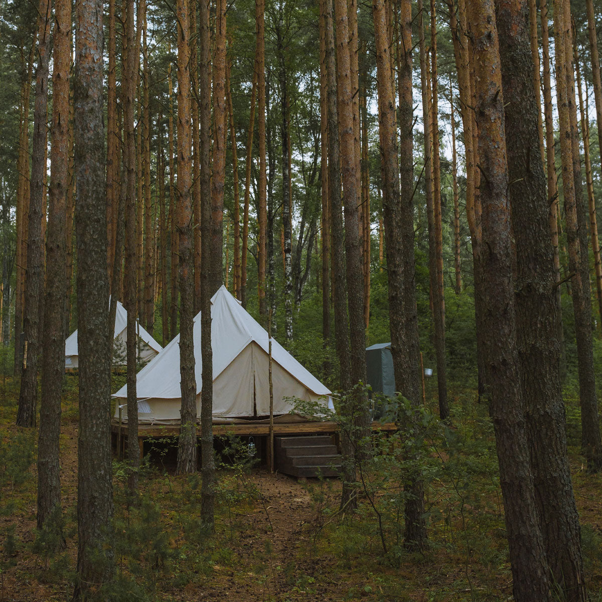 Glamping Zelte im Wald. Es fehlt nur noch ein Sanitärhaus wie unser tinyblue